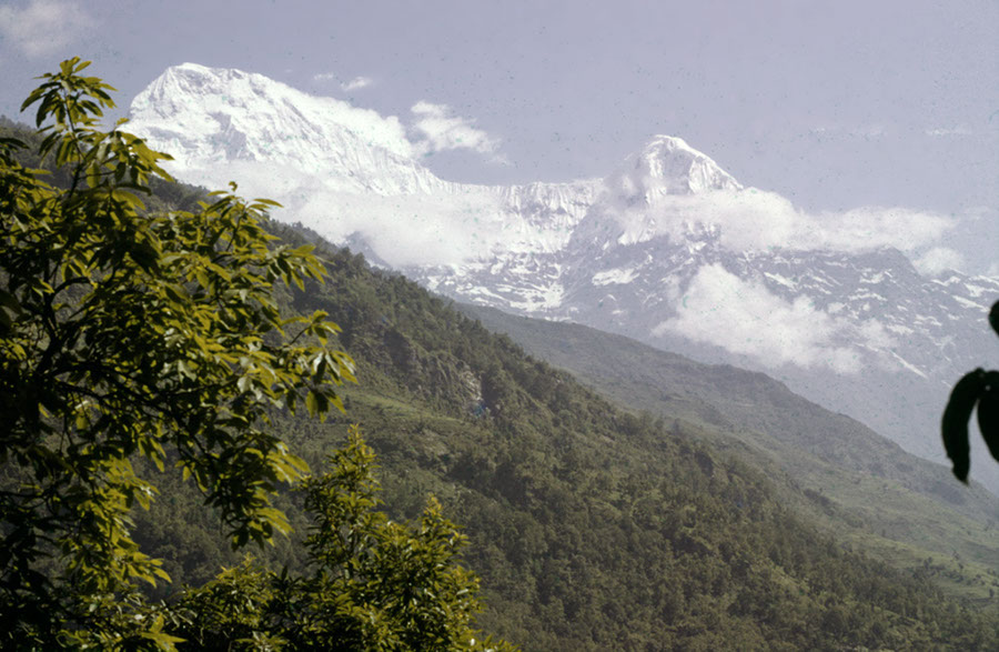 Blick auf den Annapurna