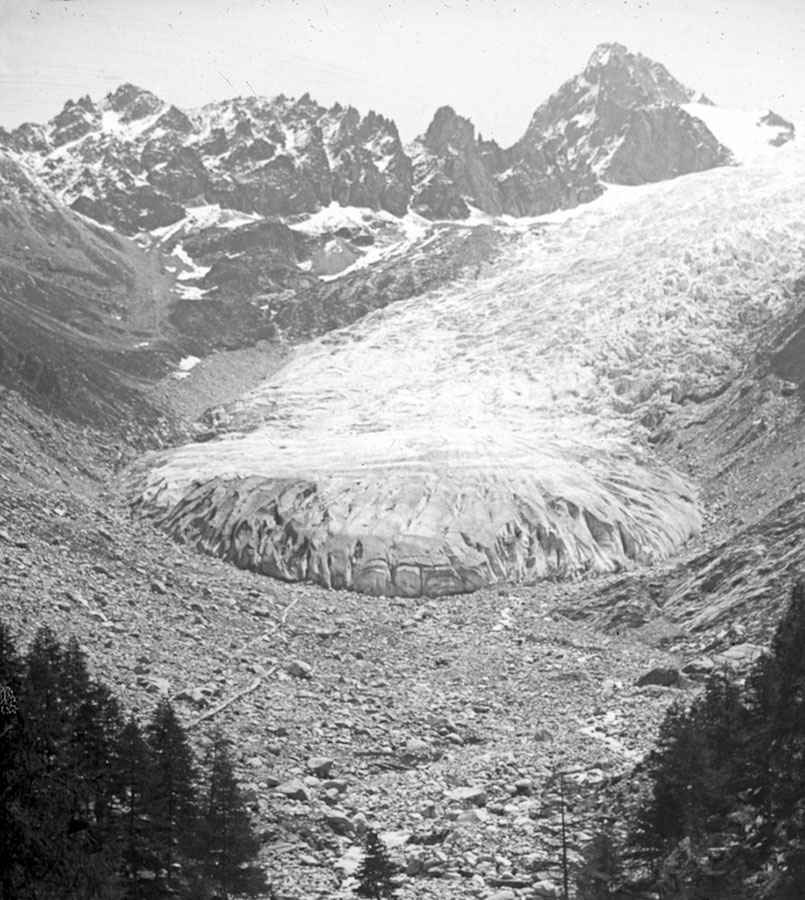 Glacier du Trient, Mont Blanc- Gruppe