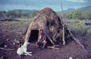 Himba- Hütte im Gebiet um Oncocua
